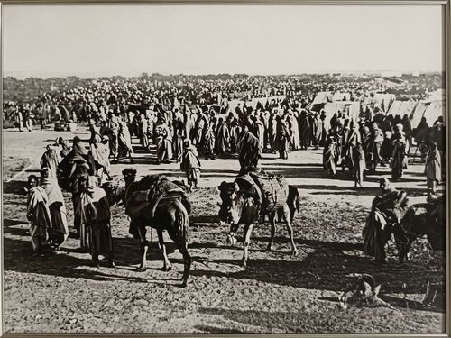 Sfax, 1920 : Voyage au Cœur de la Récolte Traditionnelle de l'Olive